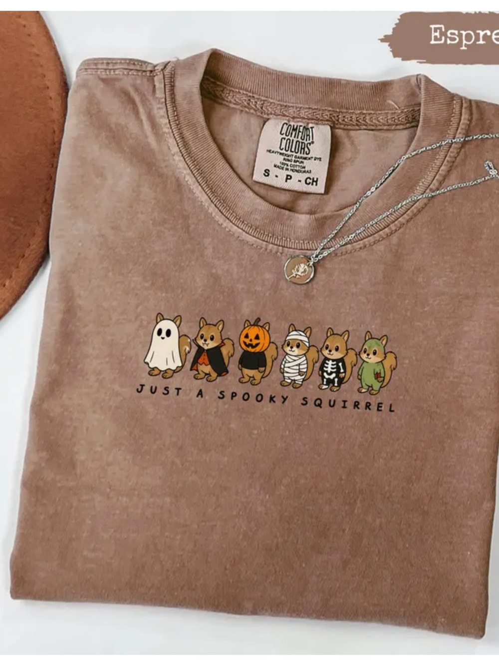 Comfort Colors Espresso Brown Halloween Squirrel Graphic Tee